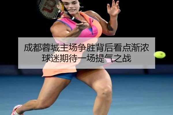 成都蓉城主场争胜背后看点渐浓 球迷期待一场提气之战